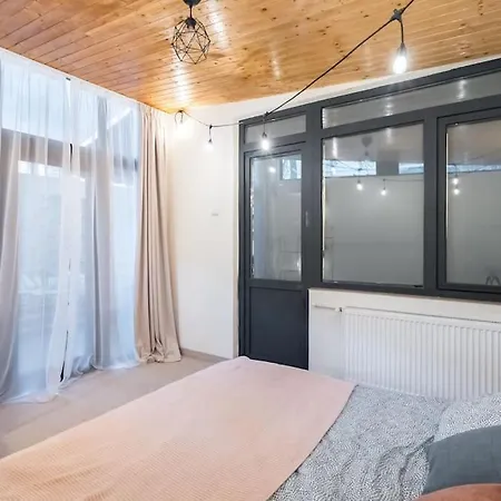 Downtown Urban Spot Jacuzzi&cinema Universitate Apartment
